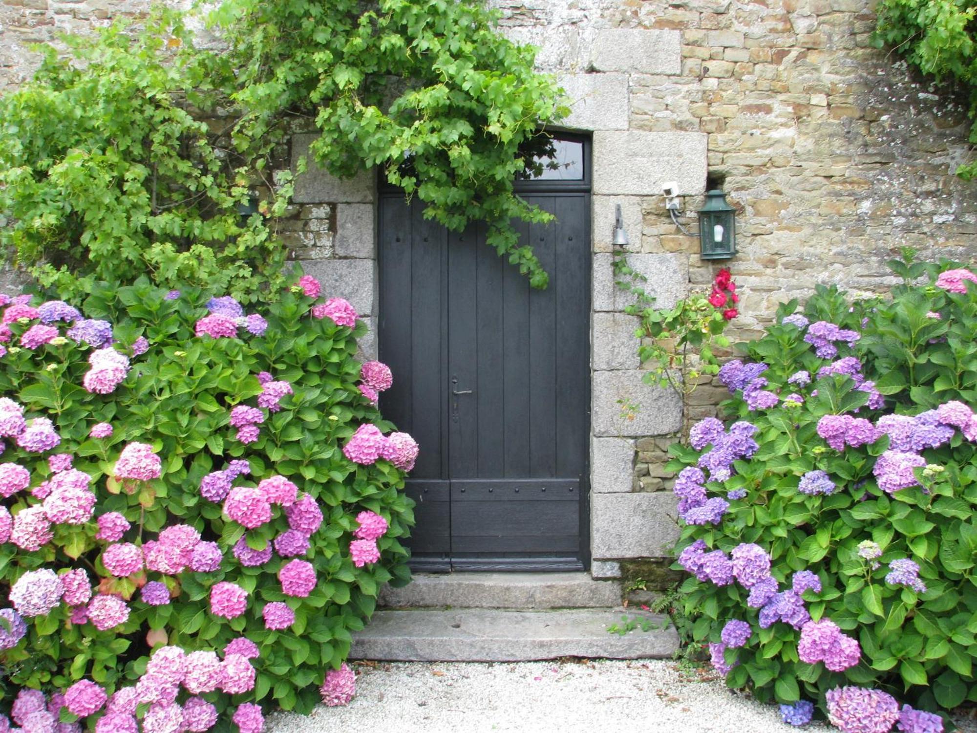 Le Domaine De Belleville Dragey Exterior photo